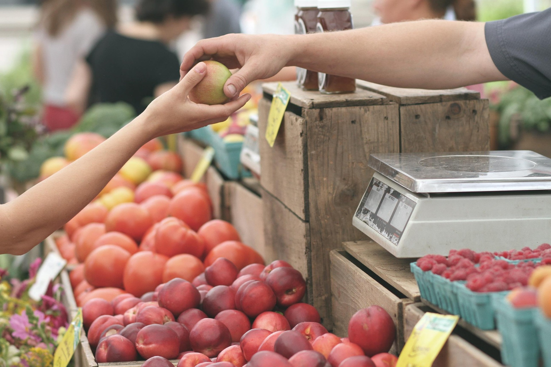 Pexels Apples 1841132 1920